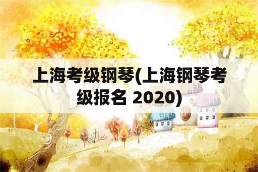 上海考级钢琴(上海钢琴考级报名 2020)