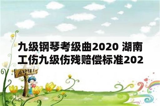 九级钢琴考级曲2020 湖南工伤九级伤残赔偿标准2020？