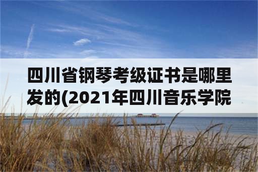 四川省钢琴考级证书是哪里发的(2021年四川音乐学院钢琴考级时间？)