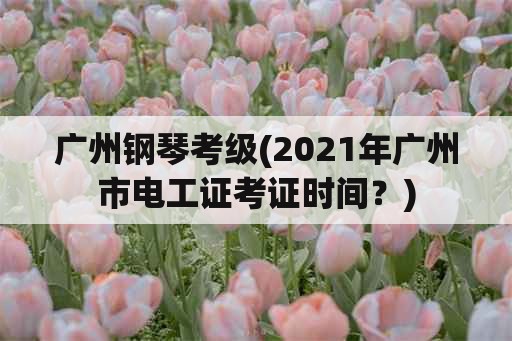 广州钢琴考级(2021年广州市电工证考证时间？)