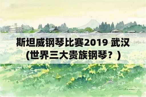 斯坦威钢琴比赛2019 武汉(世界三大贵族钢琴？)