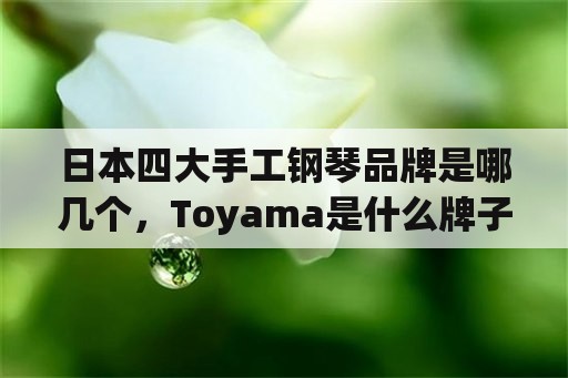 日本四大手工钢琴品牌是哪几个，Toyama是什么牌子的钢琴啊？