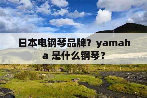 日本电钢琴品牌？yamaha 是什么钢琴？