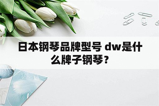 日本钢琴品牌型号 dw是什么牌子钢琴？