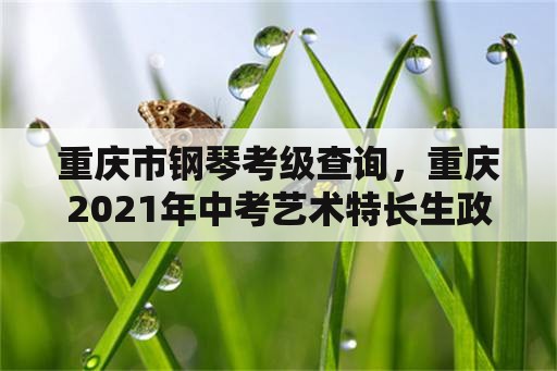 重庆市钢琴考级查询，重庆2021年中考艺术特长生政策？