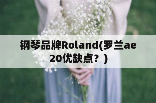 钢琴品牌Roland(罗兰ae20优缺点？)