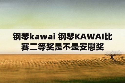 钢琴kawai 钢琴KAWAI比赛二等奖是不是安慰奖