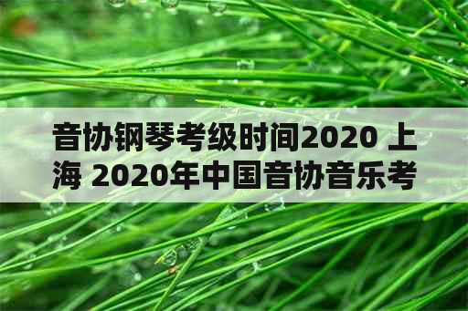 音协钢琴考级时间2020 上海 2020年中国音协音乐考级？