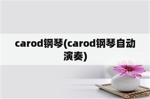 carod钢琴(carod钢琴自动演奏)