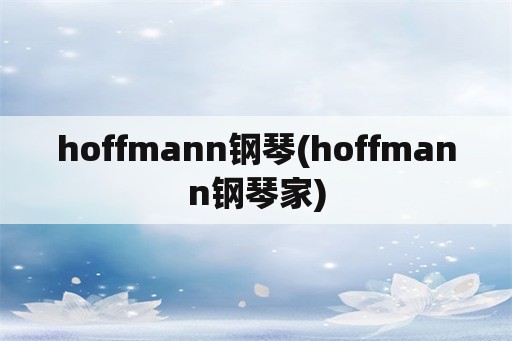 hoffmann钢琴(hoffmann钢琴家)