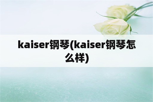 kaiser钢琴(kaiser钢琴怎么样)