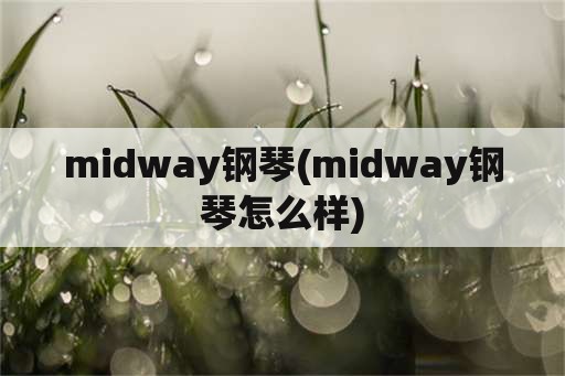midway钢琴(midway钢琴怎么样)