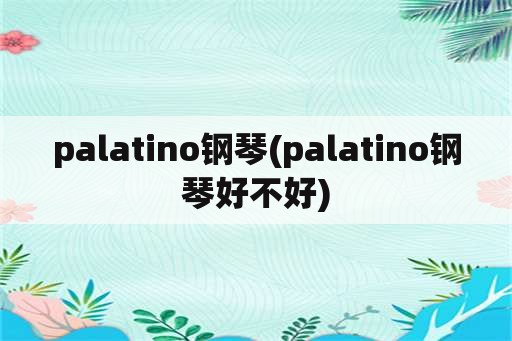 palatino钢琴(palatino钢琴好不好)