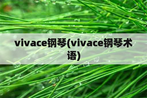 vivace钢琴(vivace钢琴术语)
