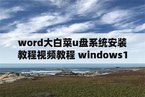 word大白菜u盘系统安装教程视频教程 windows10大白菜u盘安装教程