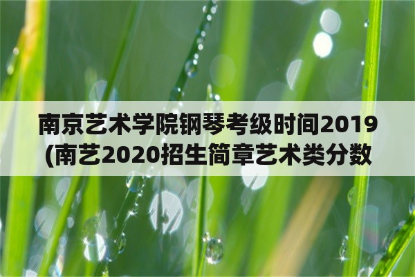 南京艺术学院钢琴考级时间2019(南艺2020招生简章艺术类分数？)