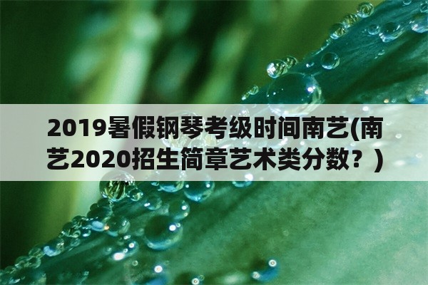 2019暑假钢琴考级时间南艺(南艺2020招生简章艺术类分数？)