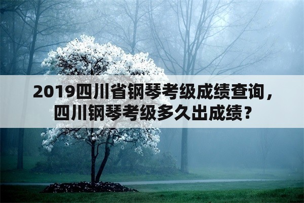 2019四川省钢琴考级成绩查询，四川钢琴考级多久出成绩？