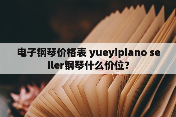 电子钢琴价格表 yueyipiano seiler钢琴什么价位？