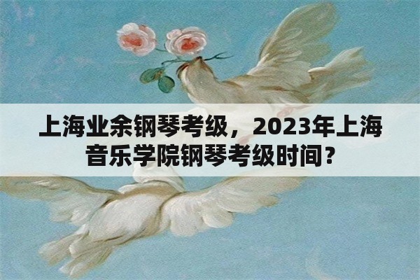 上海业余钢琴考级，2023年上海音乐学院钢琴考级时间？