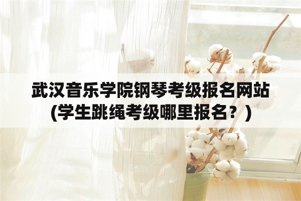 武汉音乐学院钢琴考级报名网站(学生跳绳考级哪里报名？)