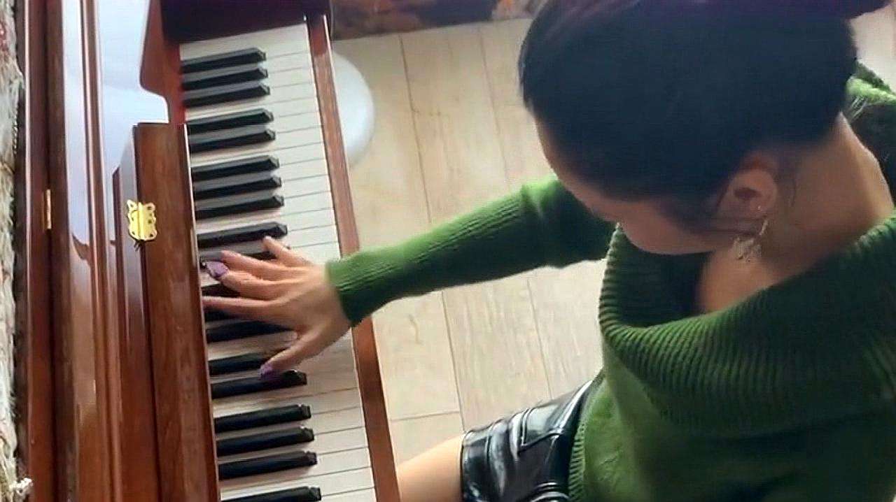朗朗钢琴演奏《野蜂飞舞》视频的简单介绍