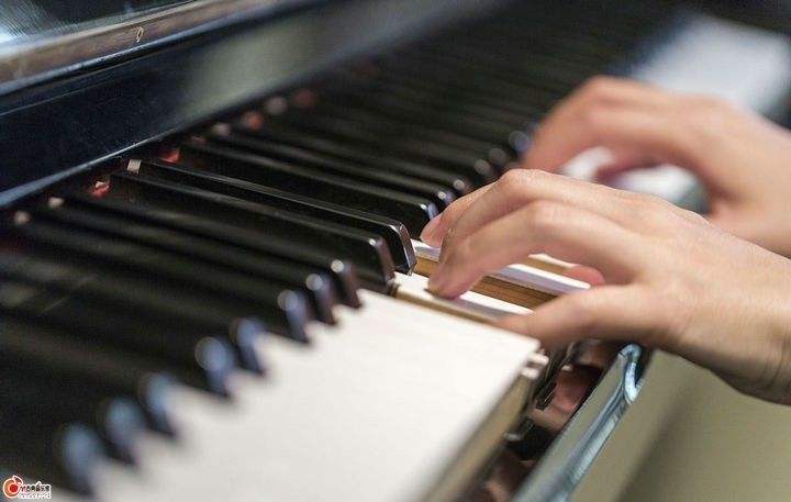会弹钢琴的孩子一定会弹电子琴吗(会弹钢琴的孩子一定会弹电子琴吗视频)