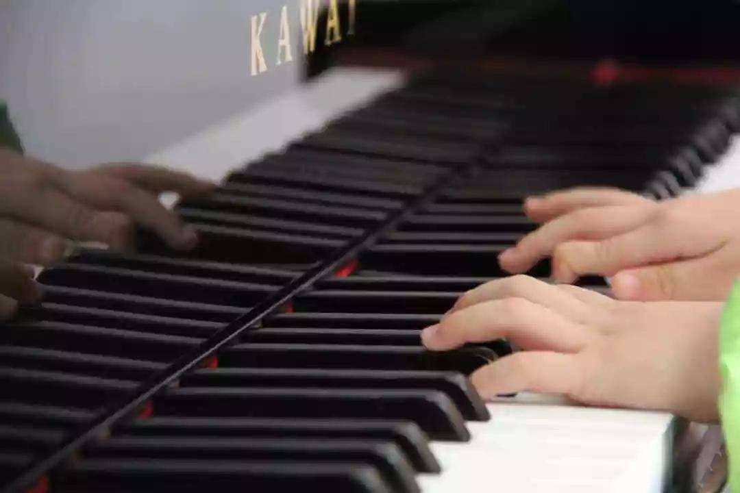 包含弹钢琴的手型教法朗朗教你弹钢琴的词条