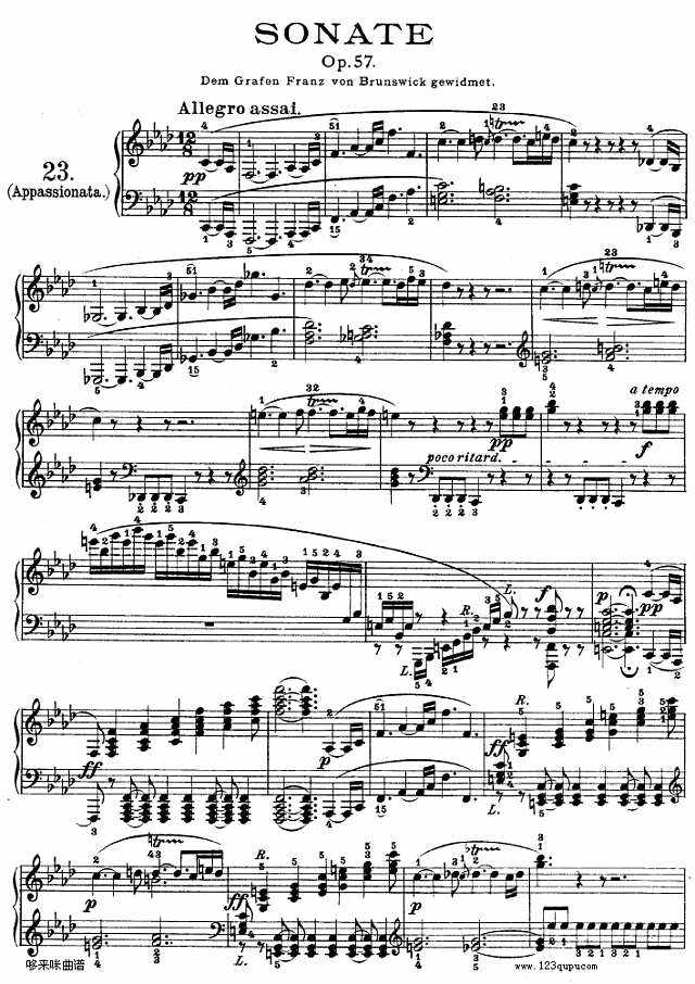 贝多芬第三钢琴协奏曲双钢琴(贝多芬第三钢琴协奏曲双钢琴谱)