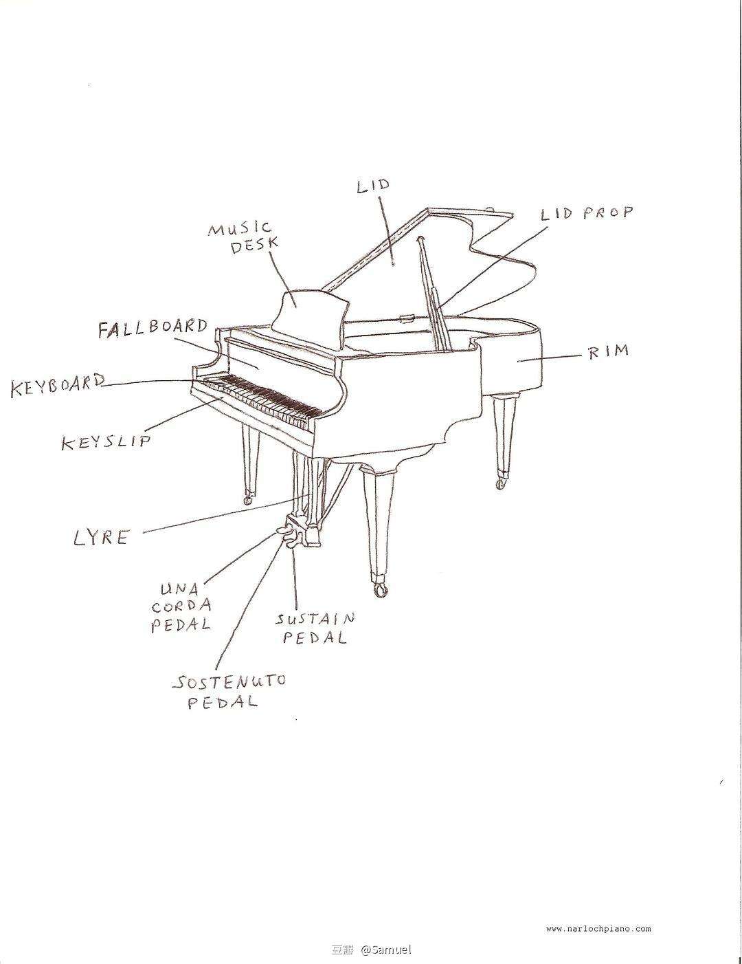 三角钢琴怎么用简笔画的简单介绍
