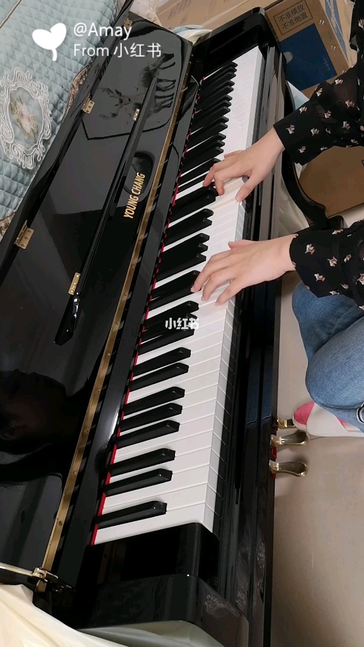 钢琴演奏爱丽丝视频(献给爱丽丝钢琴弹奏示范视频)