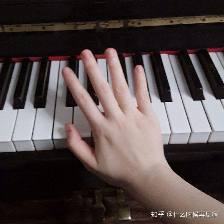弹钢琴手要多大(弹钢琴的手要多长厘米)