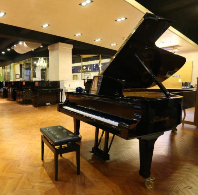 上海租钢琴一年多少钱(上海租钢琴一年多少钱一天)