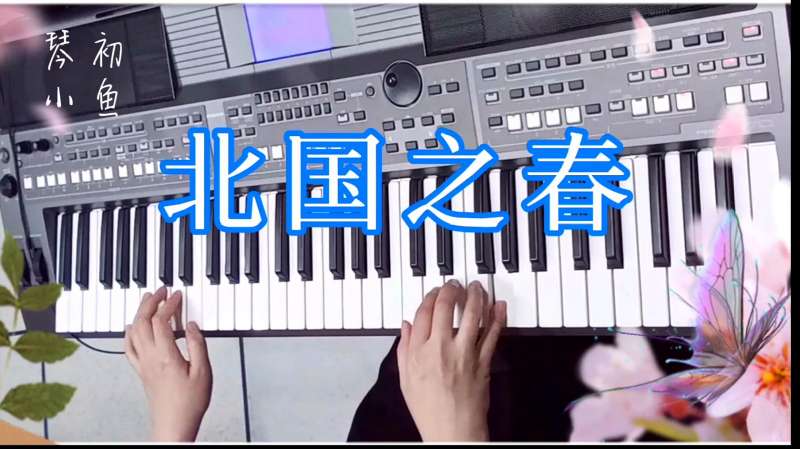 钢琴演奏北国之春(钢琴演奏北国之春视频)