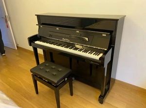 珠江钢琴ep1配置如何(珠江ep1钢琴哪一年生产)