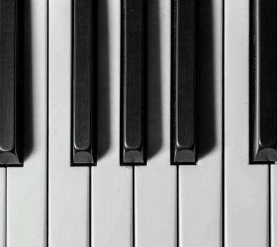 黑白键钢琴教育(黑白键钢琴教育简介)