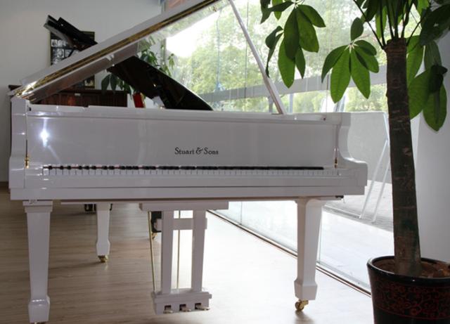 家用钢琴品牌排行榜威廉斯丹堡(斯丹威在当时是世界著名的钢琴牌子)
