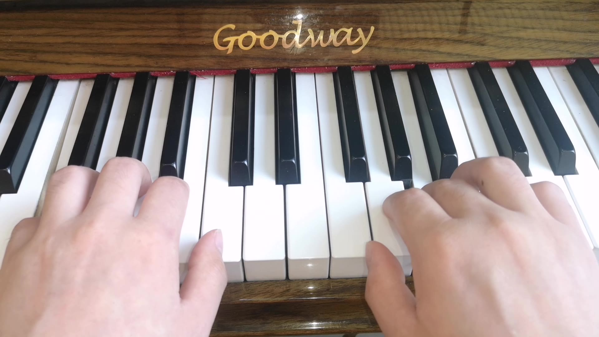 轻轻地划钢琴教学视频慢点(轻轻的划钢琴曲教学视频慢弹)