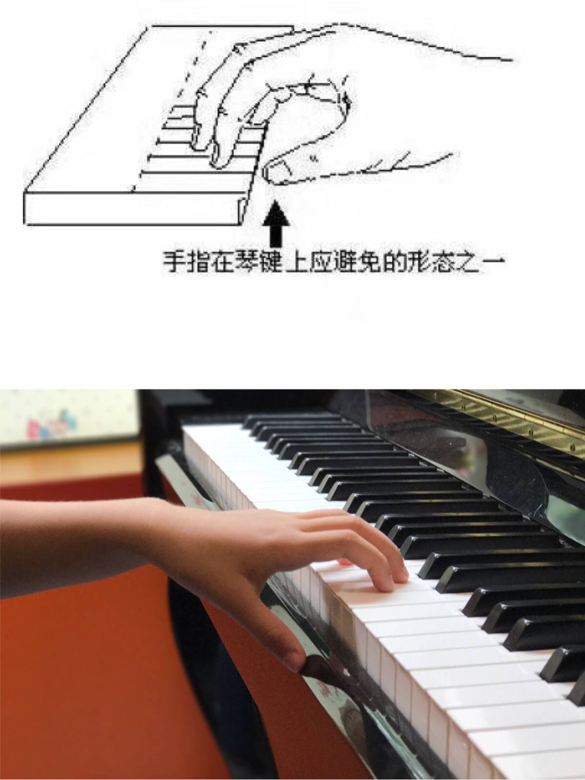 弹钢琴提手腕和跳音的区别(弹钢琴提手腕和跳音的区别在哪)