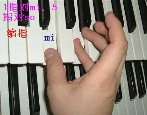 关于钢琴指法手型视频教学手型和指法的信息