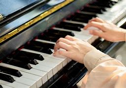 关于钢琴家的手一般是怎样的的信息