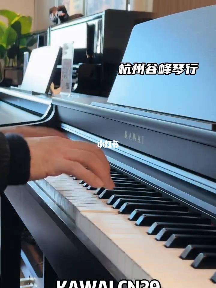 电钢琴演奏视频(电钢琴演奏视频卡农)