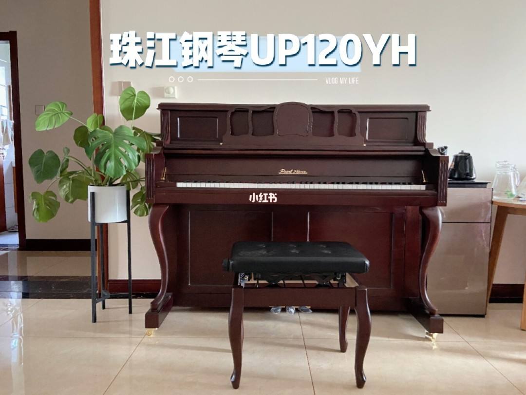 珠江钢琴up119qs优缺点(珠江钢琴up119qs是什么系列)