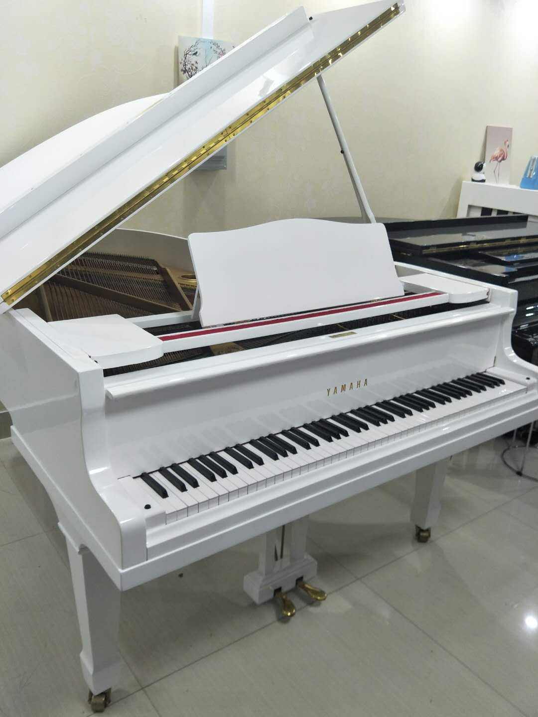 珠江钢琴里特米勒rsy1系列怎么样(珠江里特米勒钢琴rsh121值得买吗)