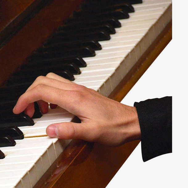 钢琴家的手是什么样的的简单介绍