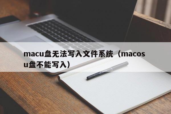 macu盘无法写入文件系统（macos u盘不能写入）